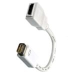 HDMI TO MINI DVI